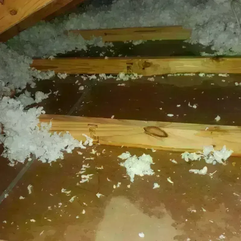 Attic Water Damage in Bland, VA