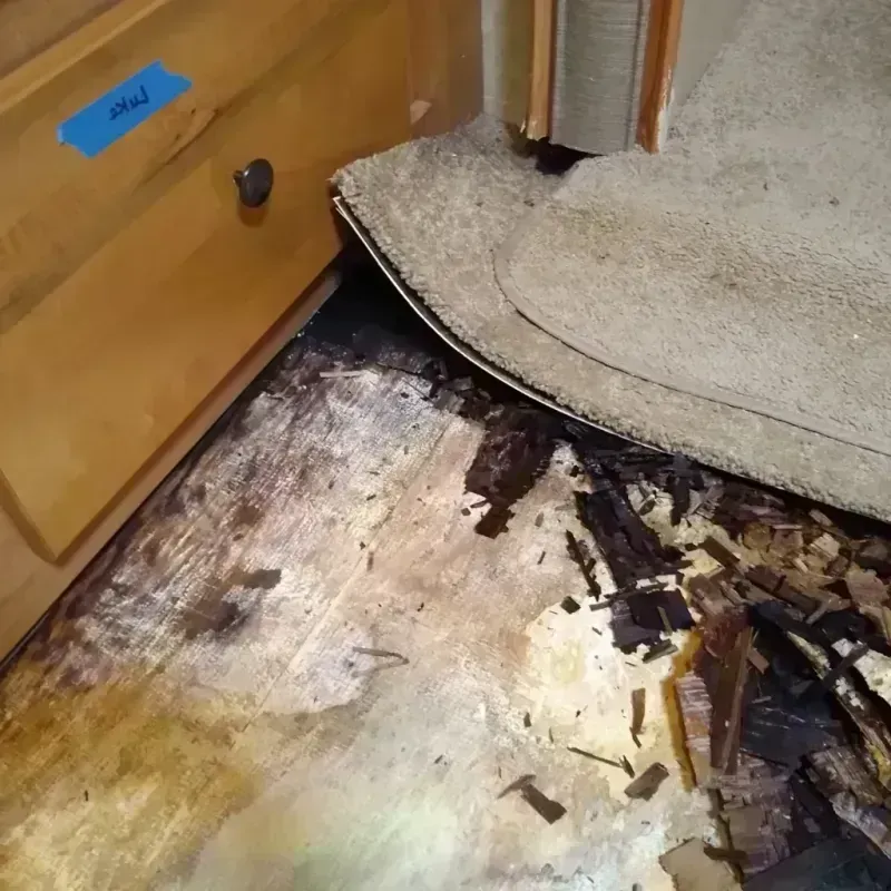 Wood Floor Water Damage in Bland, VA